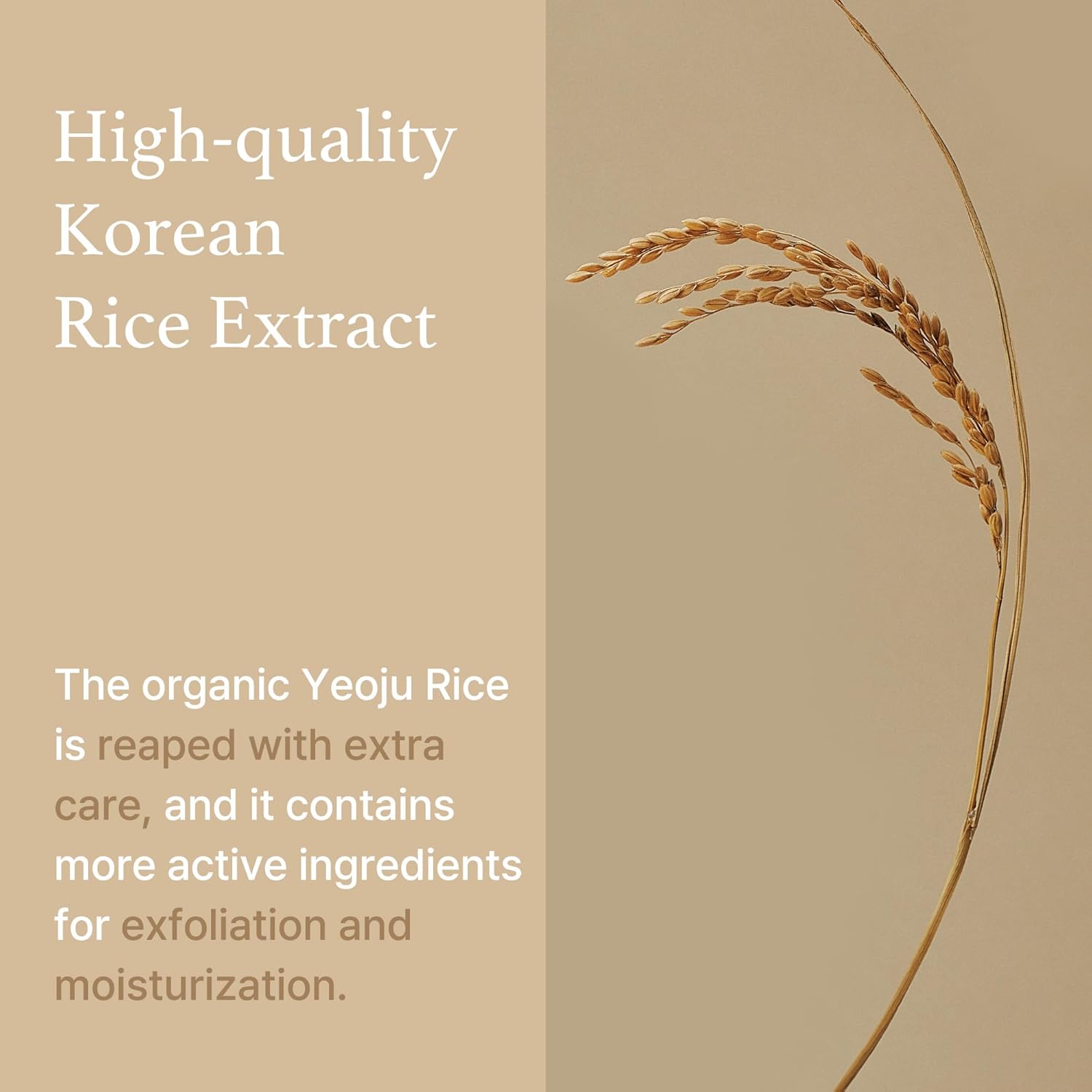 IM FROM Rice Sheet Mask (1ea)