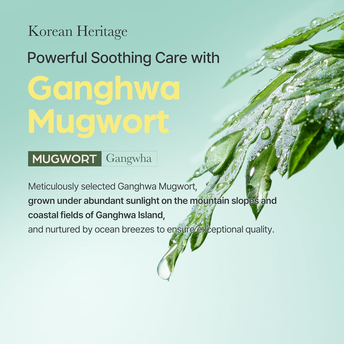 I'M FROM Mugwort Mask 70g