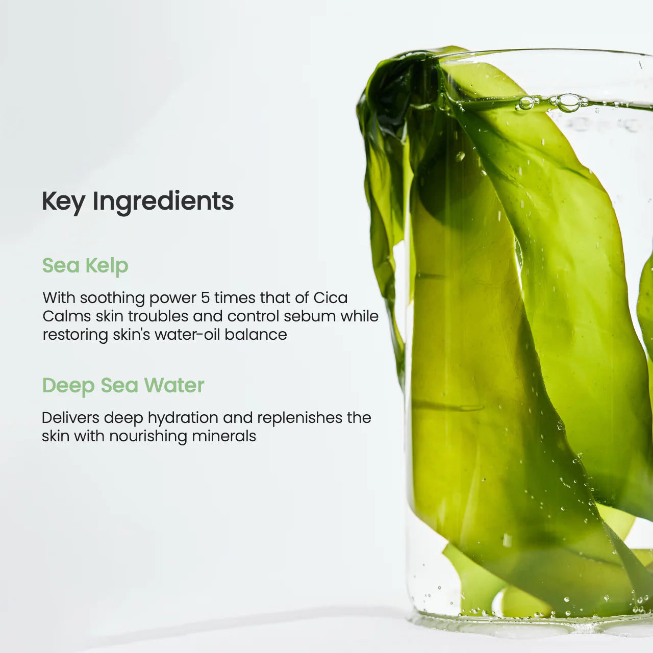 BIODANCE Refreshing Sea Kelp Real Deep Mask (4ea)