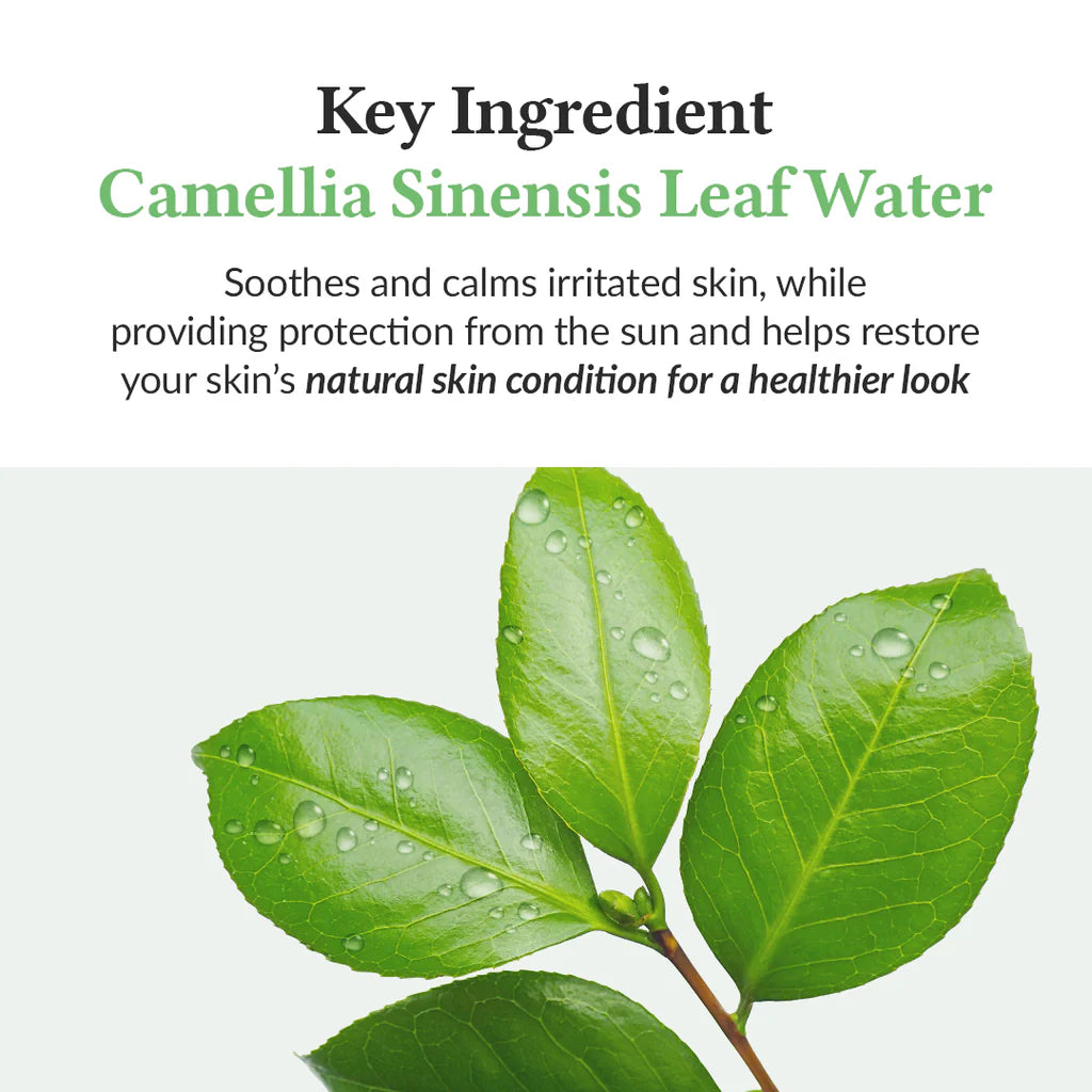 DR.ALTHEA Green Tea Fresh Sunscreen 45ml