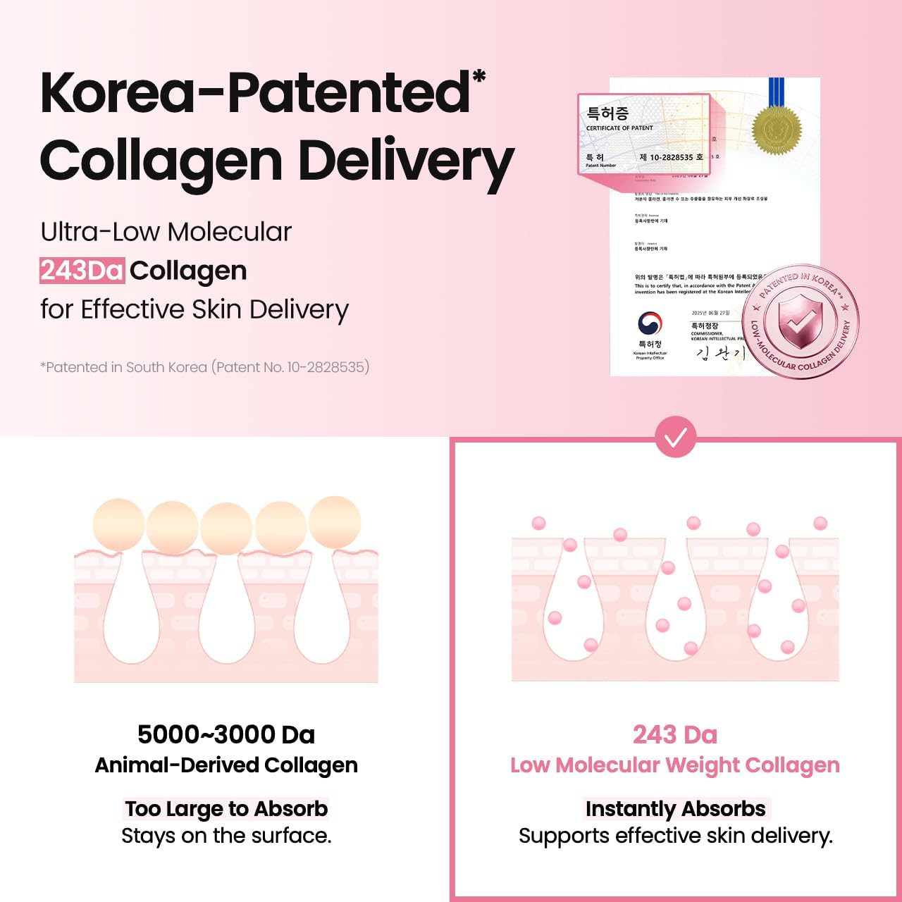 BIODANCE Pore Perfecting Collagen Peptide Serum 30ml