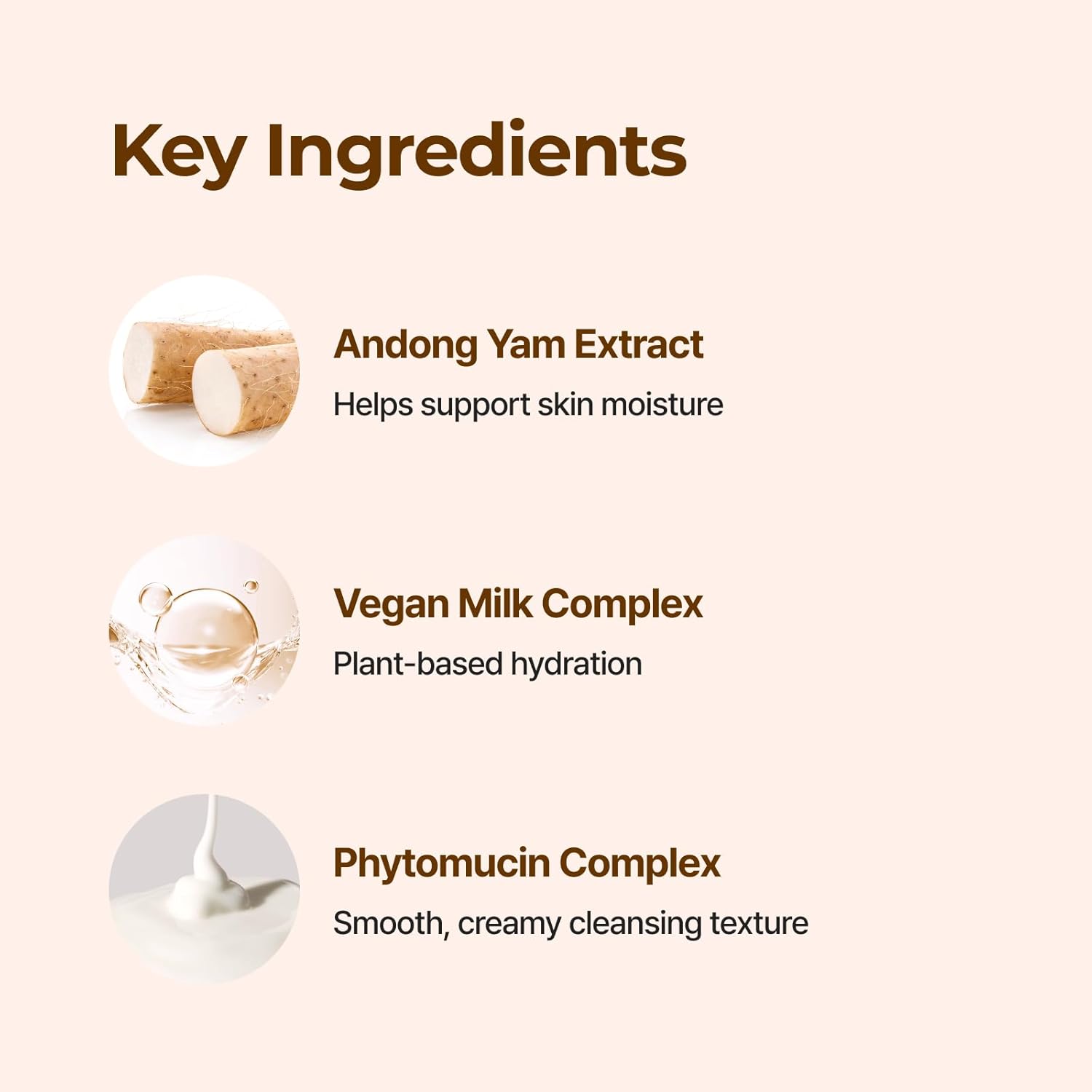 ISNTREE Yam Root Vegan Milk Cleanser 220ml
