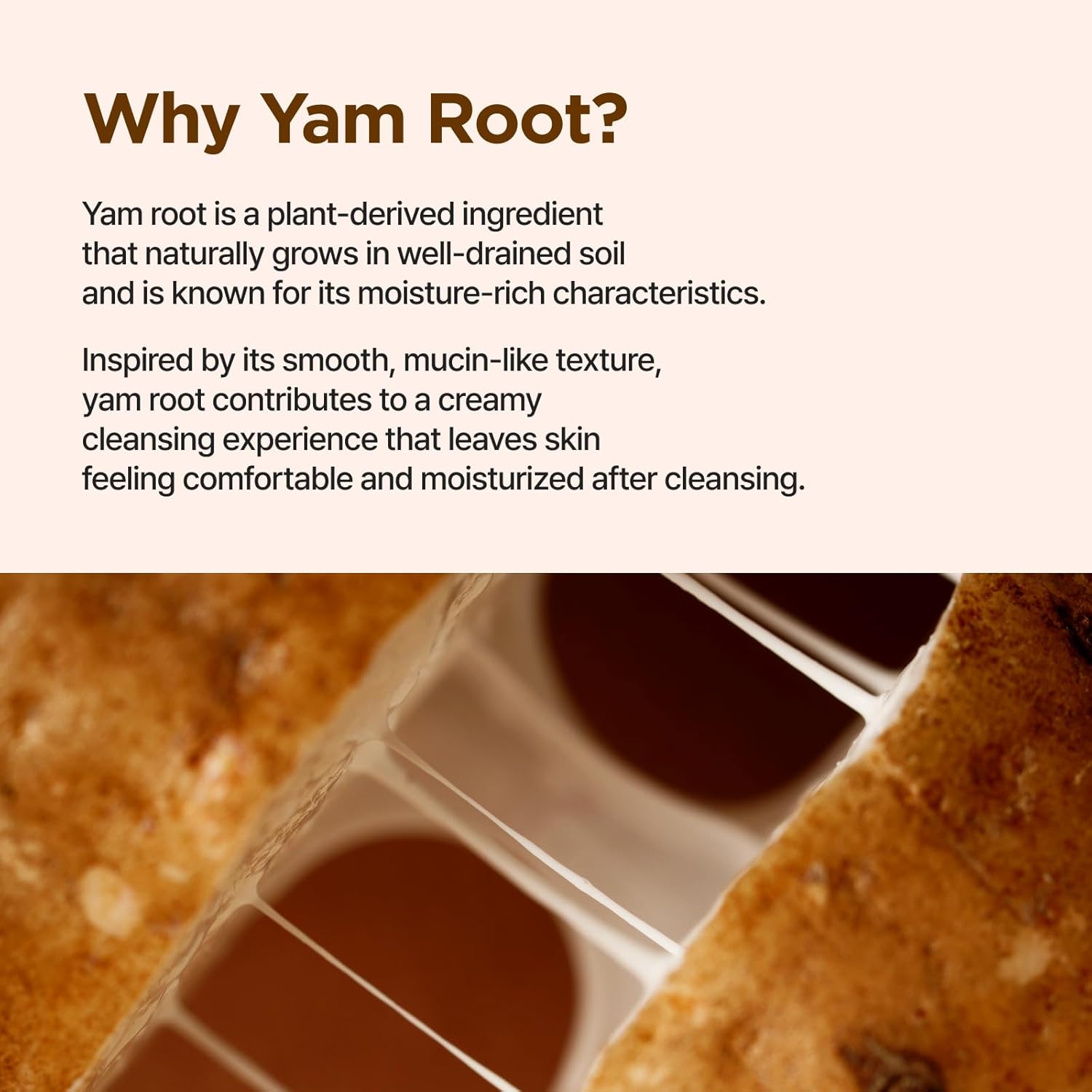 ISNTREE Yam Root Vegan Milk Cleanser 220ml