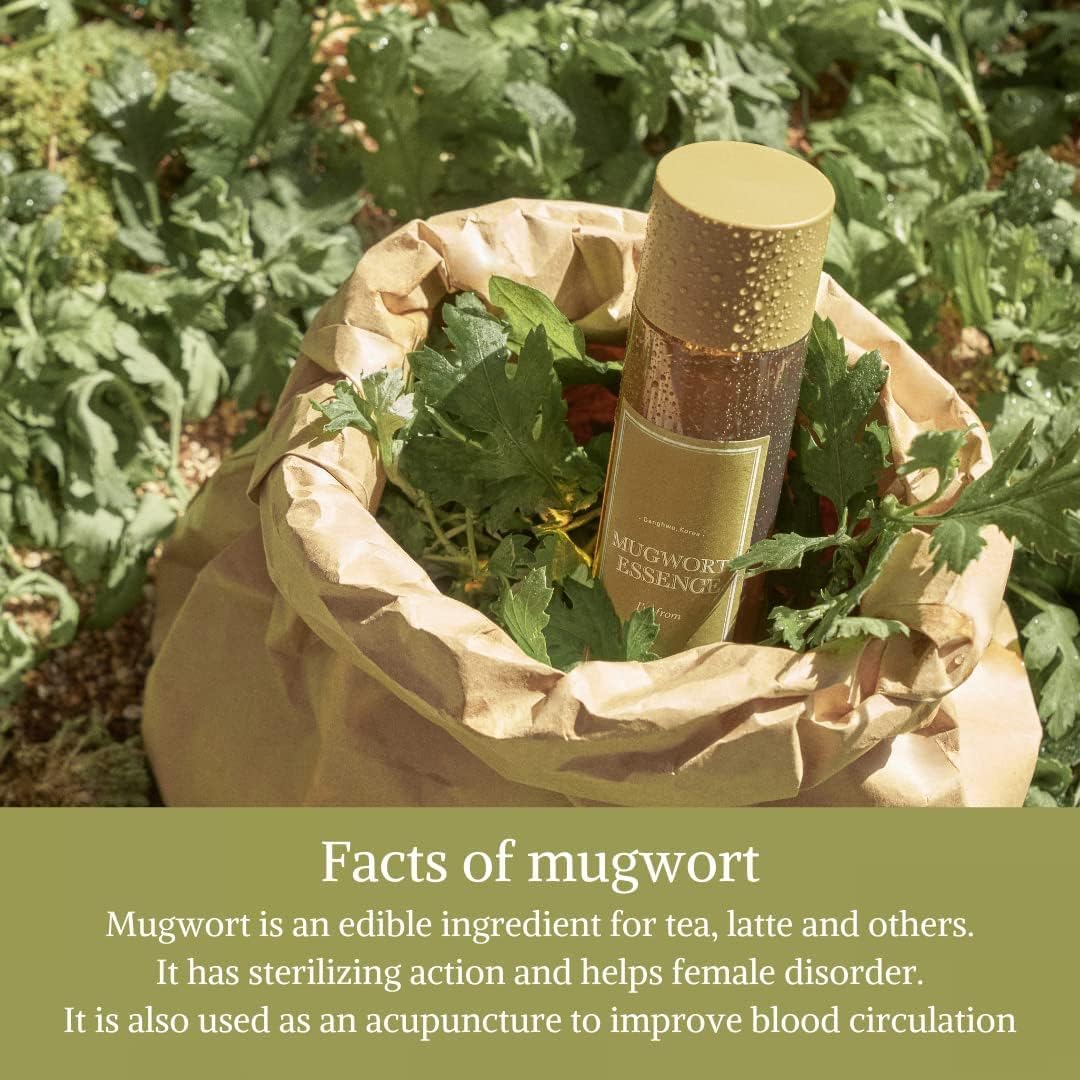 I'M FROM Mugwort Essence 30ml