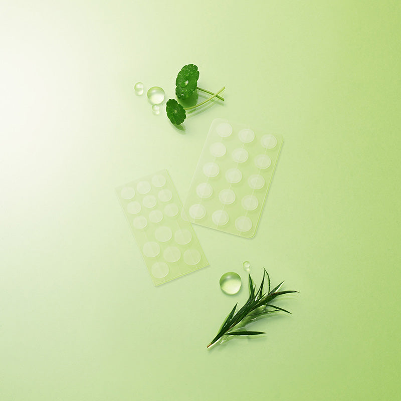 NATURE REPUBLIC Green Derma Tea Tree Cica Relief Care Spot Patch